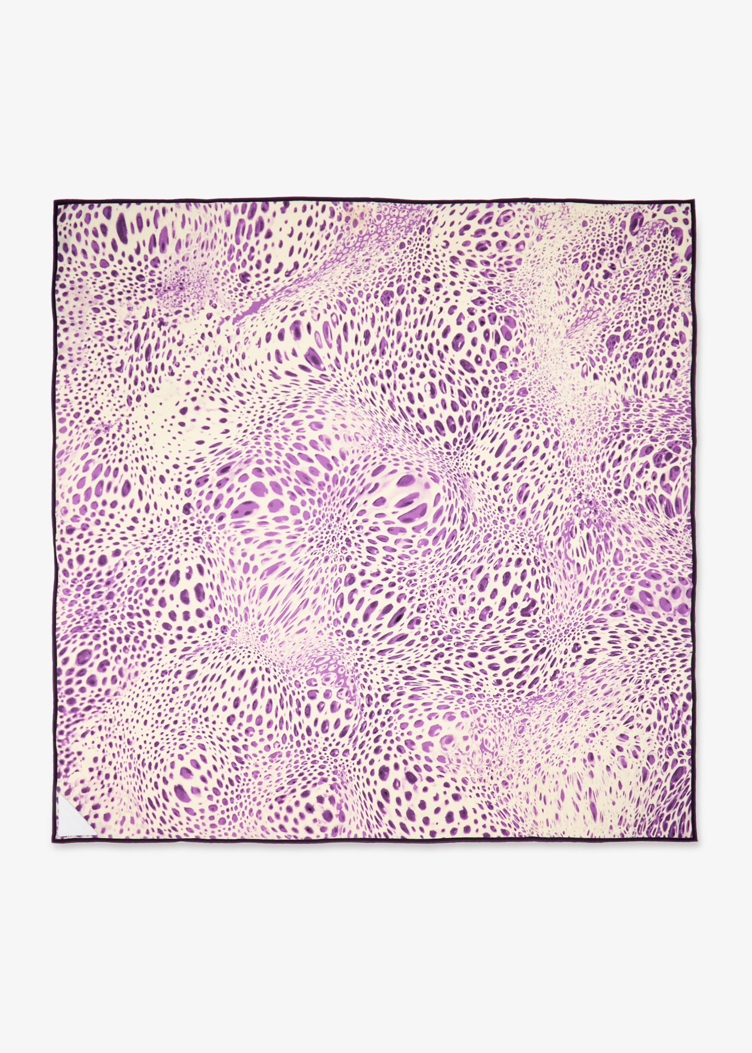 Parm Moussard scarf, Purple
Parm Moussard scarf, Purple