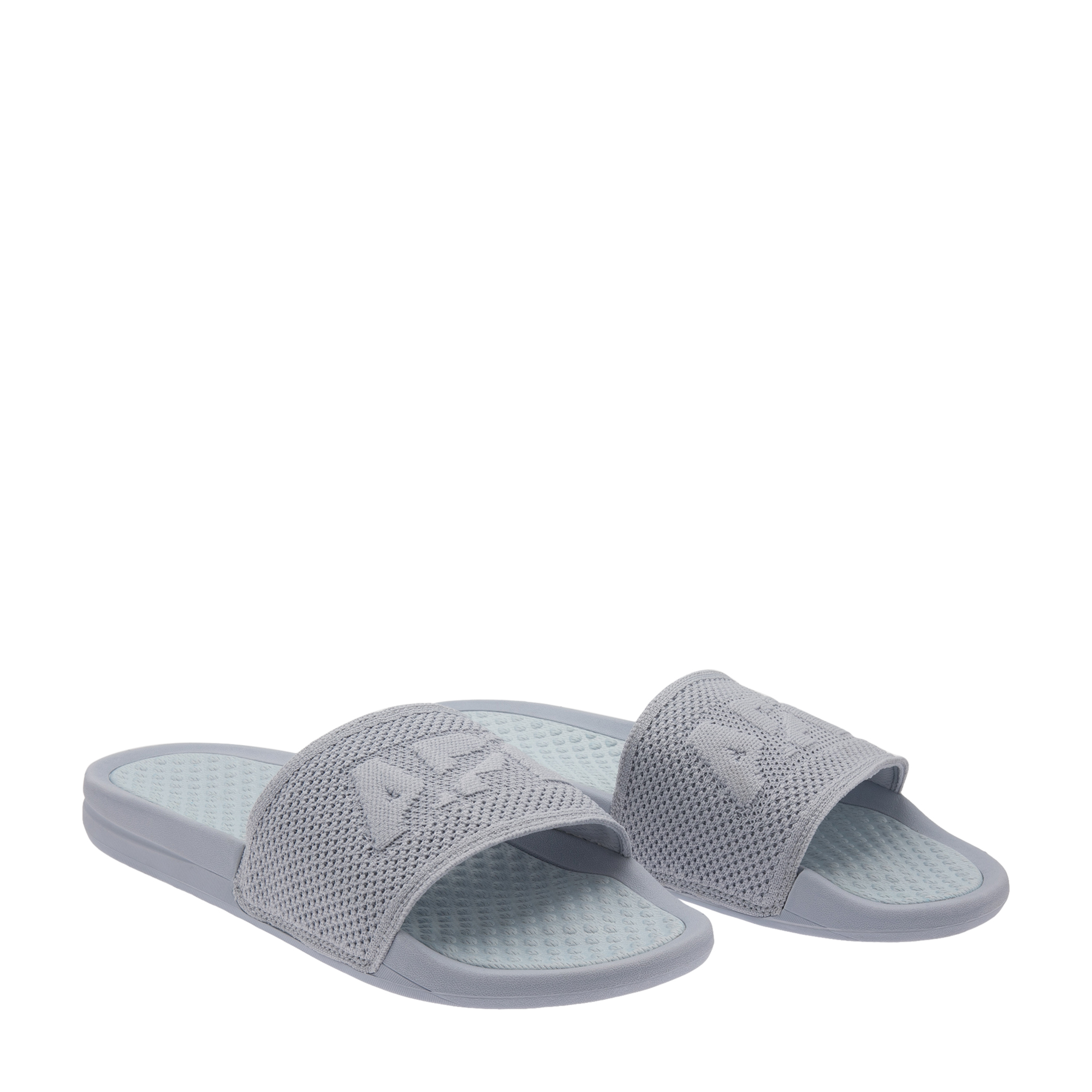 

Big Logo Techloom slides, Blue