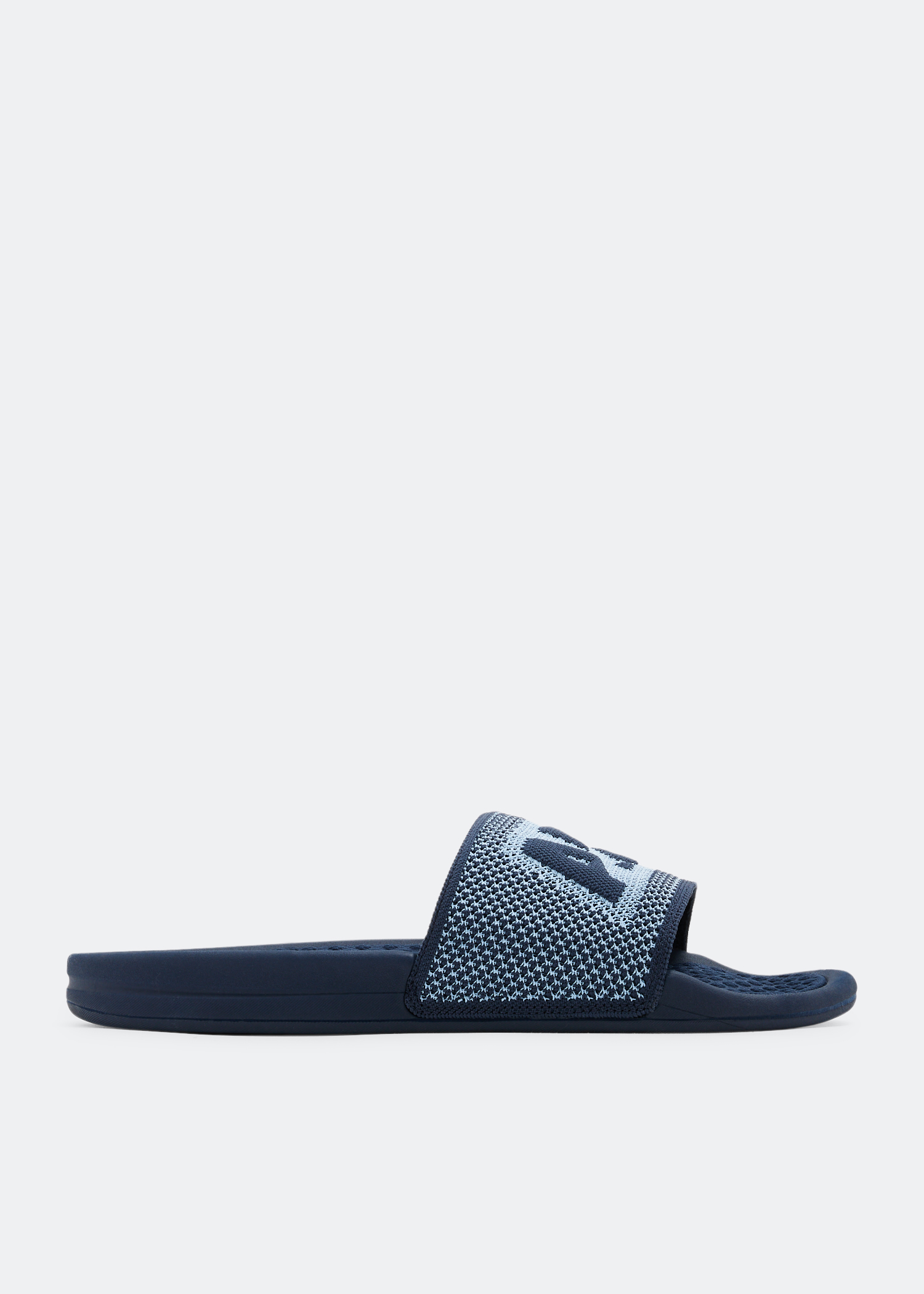 

Big Logo TechLoom slides, Blue