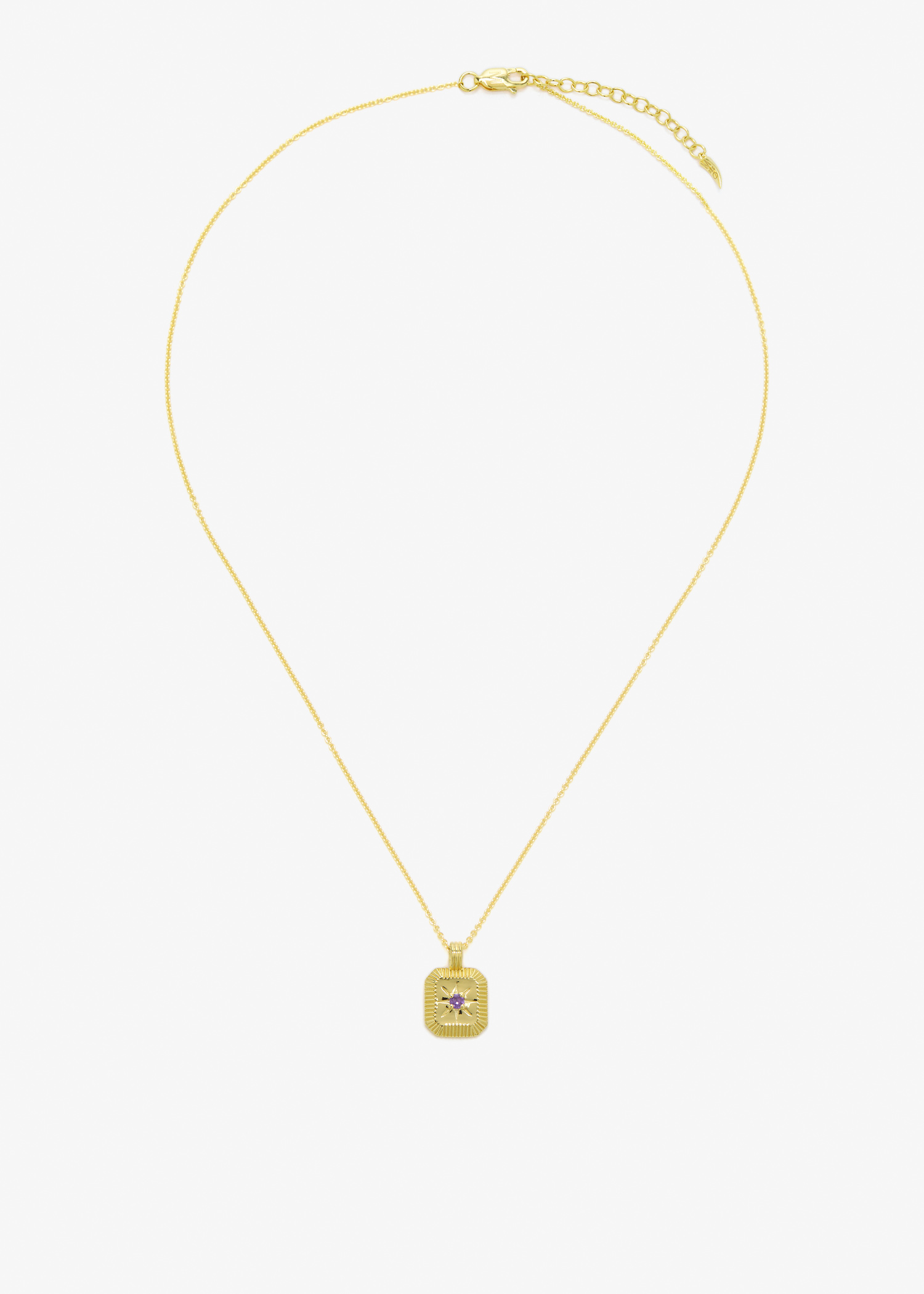 

February Birthstone pendant necklace, Gold