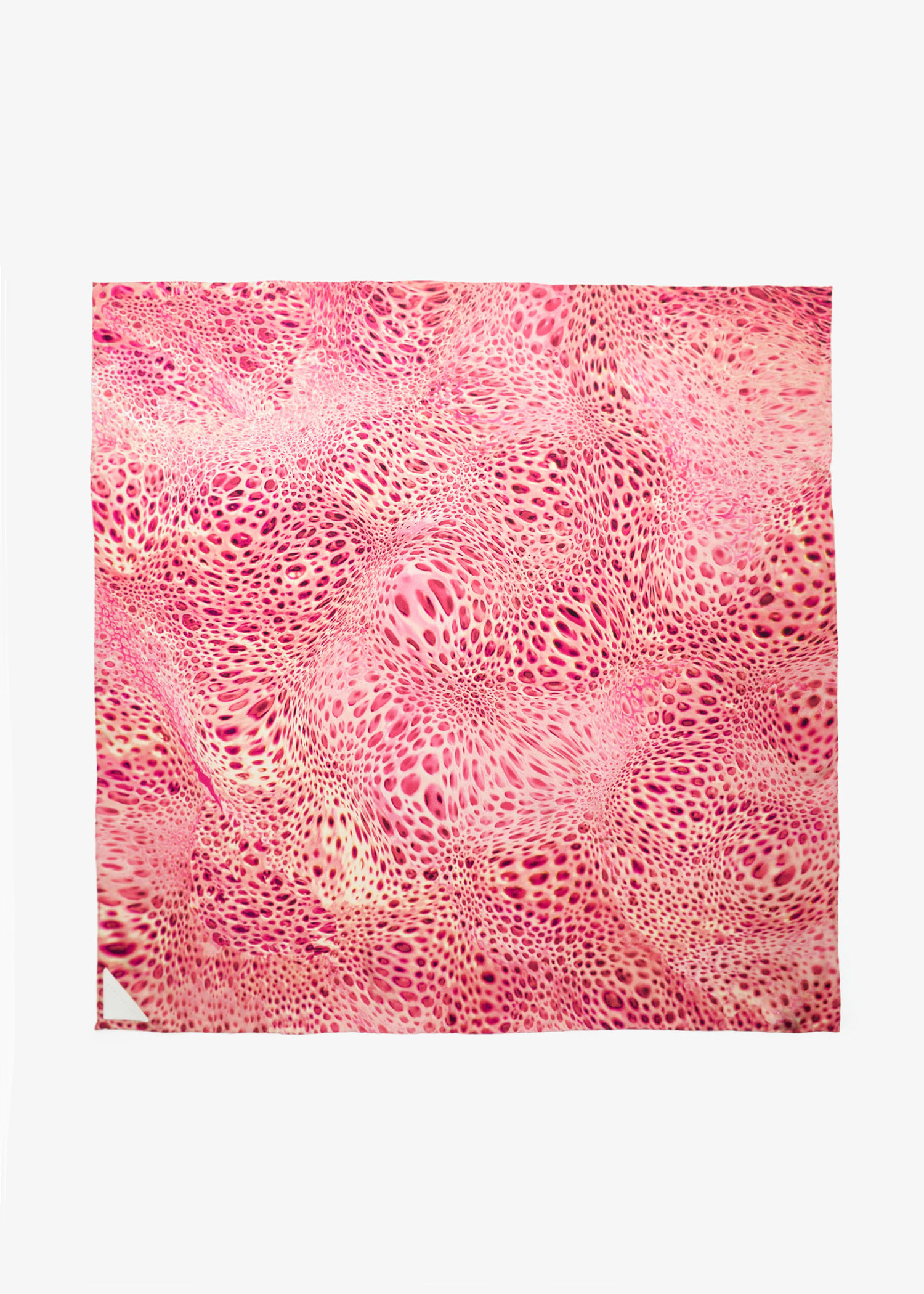 

Cheetah Moussard scarf, Printed