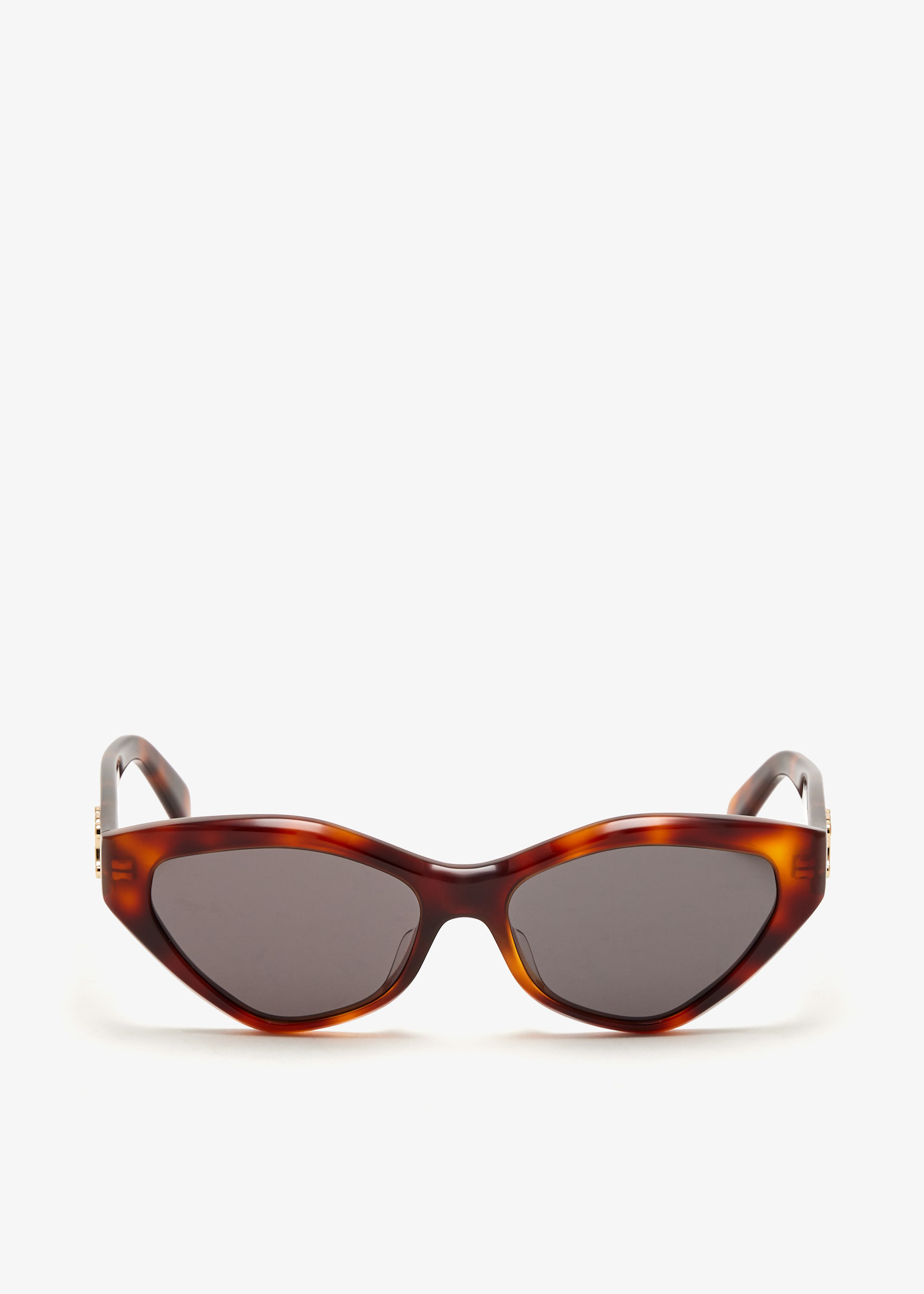 

Triomphe sunglasses, Brown