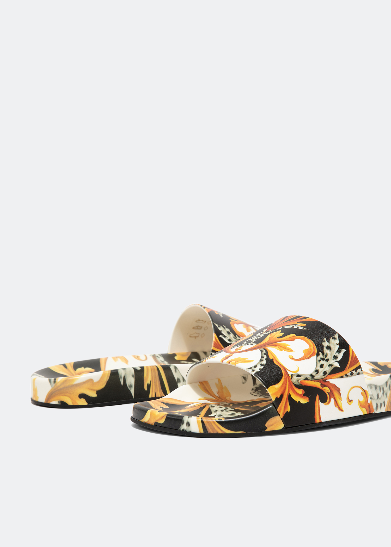

Acanthus print slides, Prints