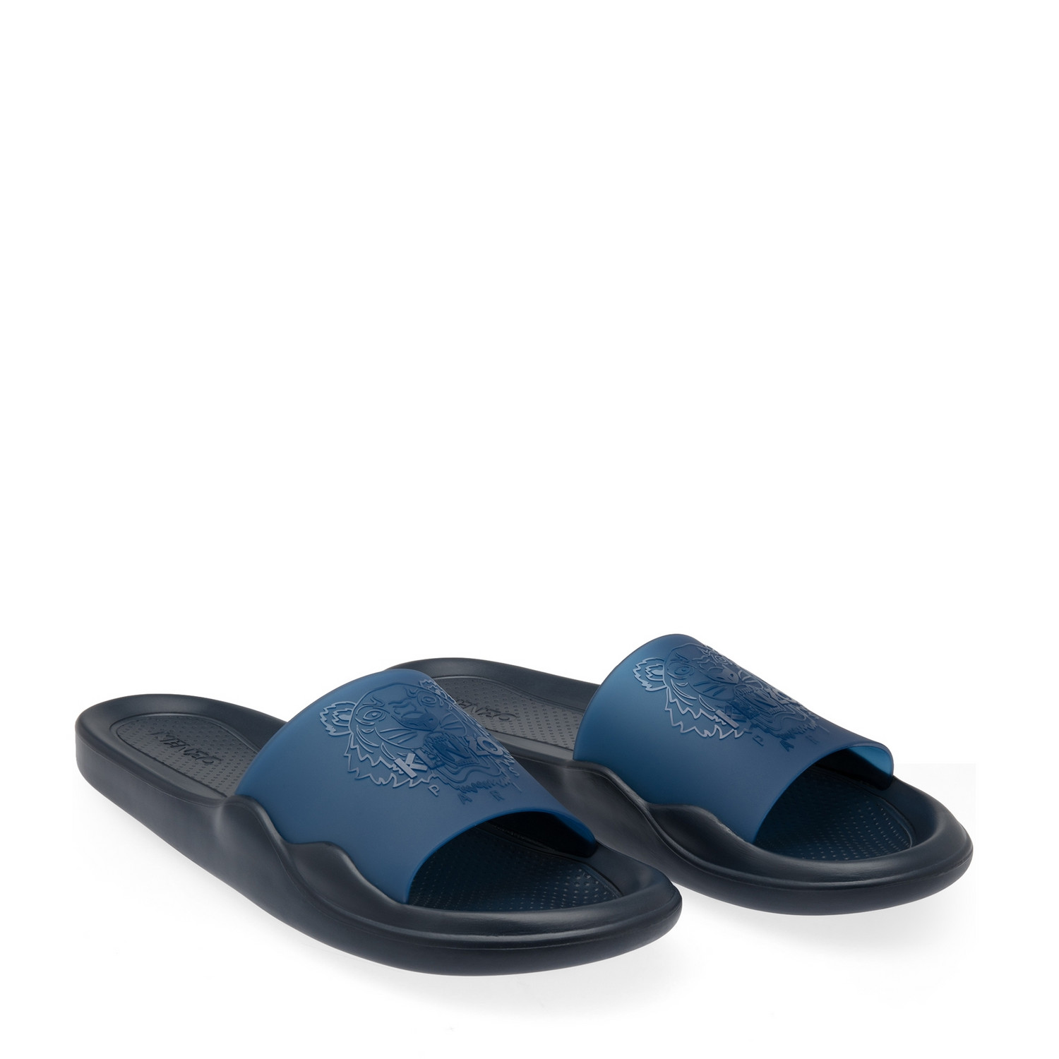 

Tiger slides, Blue