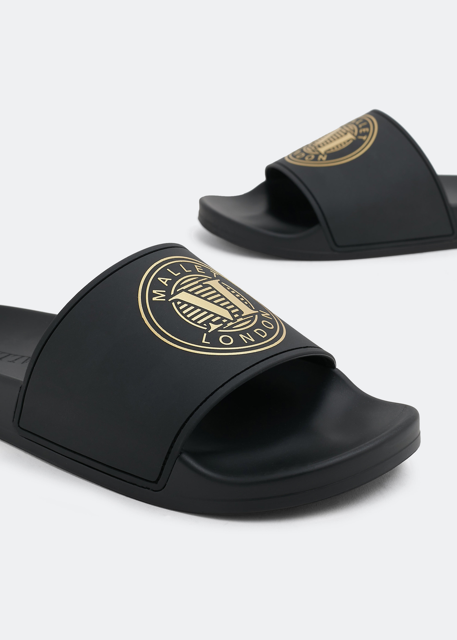 

Barnsbury crest logo slides, Black