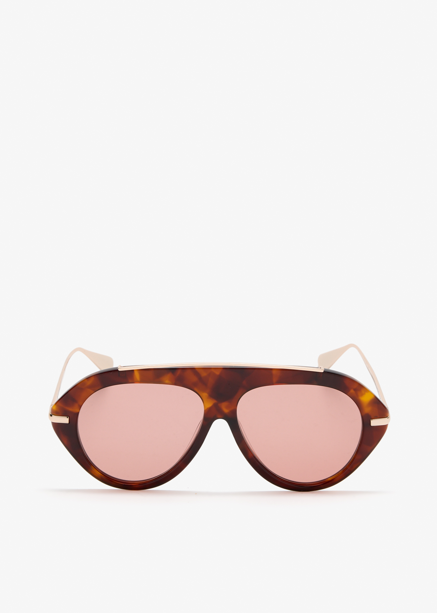 

The Icon 2.0 sunglasses, Brown
