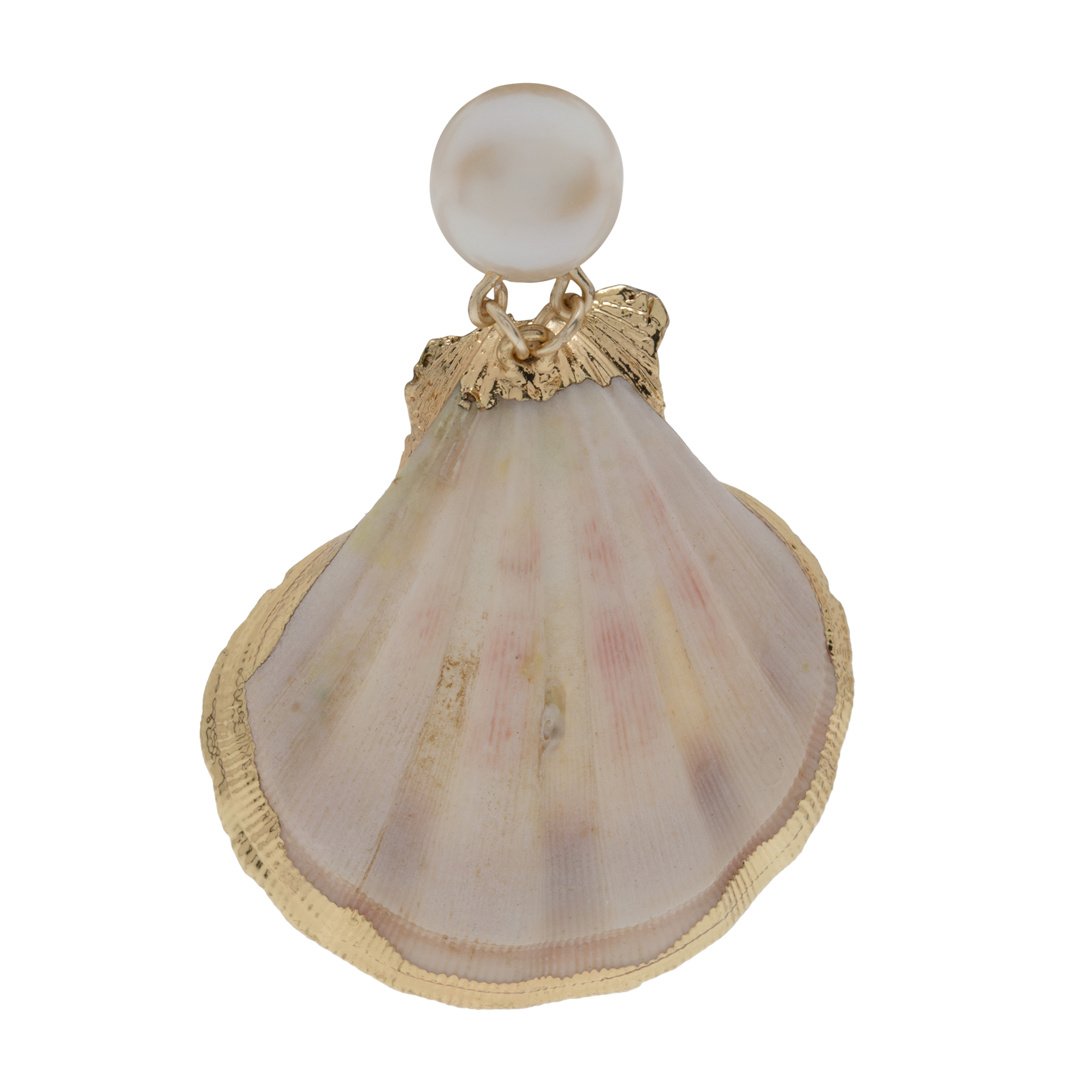 

Seashell earrings, White